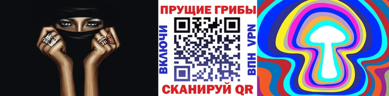 мориарти клад  Бикин  Псилоцибиновые грибы GOLDEN TEACHER  мега как войти 